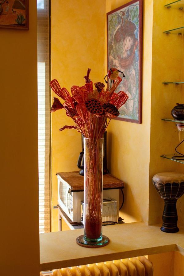 Apartment Comfortable And Accessible In 35 M² Shared Pool *